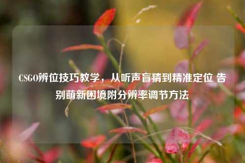 CSGO辨位技巧教学，从听声盲猜到精准定位 告别萌新困境附分辨率调节方法