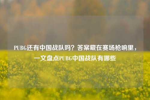 PUBG还有中国战队吗?答案藏在赛场枪响里,一文盘点PUBG中国战队有哪些