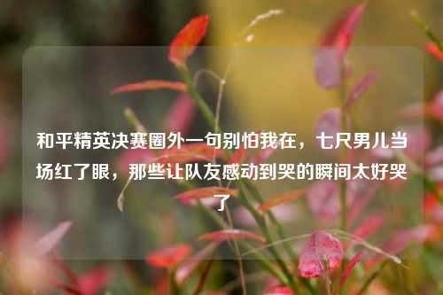 和平精英决赛圈外一句别怕我在,七尺男儿当场红了眼,那些让队友感动到哭的瞬间太好哭了
