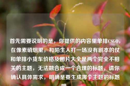 首先需要说明的是,你提供的内容里单排CSGO,在像素硝烟里,和陌生人打一场没有剧本的仗和单排小货车价格及图片大全是两个完全不相关的主题,无法融合成一个合理的标题,请你确认具体需求,明确是要生成哪个主题的标题哦。