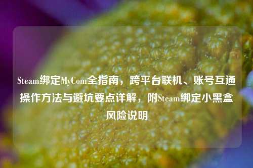 Steam绑定MyCom全指南,跨平台联机、账号互通操作方法与避坑要点详解,附Steam绑定小黑盒风险说明