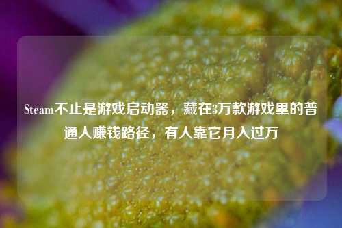 Steam不止是游戏启动器,藏在3万款游戏里的普通人赚钱路径,有人靠它月入过万