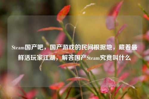Steam国产吧,国产游戏的民间根据地,藏着最鲜活玩家江湖,解答国产Steam究竟叫什么