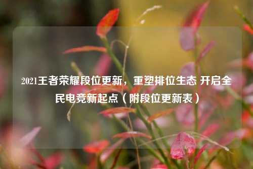 2021王者荣耀段位更新,重塑排位生态 开启全民电竞新起点(附段位更新表)