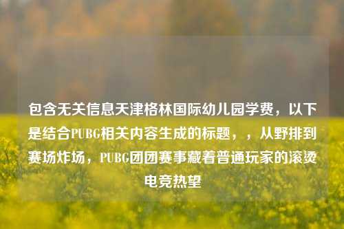 包含无关信息天津格林国际幼儿园学费,以下是结合PUBG相关内容生成的标题,,从野排到赛场炸场,PUBG团团赛事藏着普通玩家的滚烫电竞热望