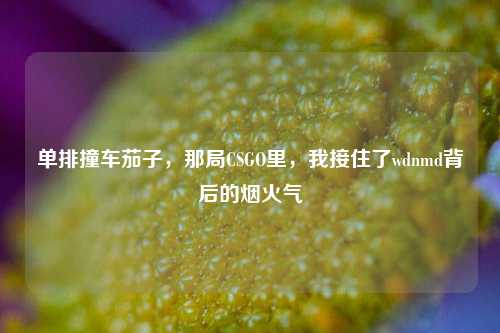单排撞车茄子,那局CSGO里,我接住了wdnmd背后的烟火气