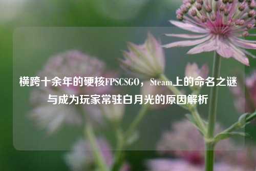 横跨十余年的硬核FPSCSGO,Steam上的命名之谜与成为玩家常驻白月光的原因解析
