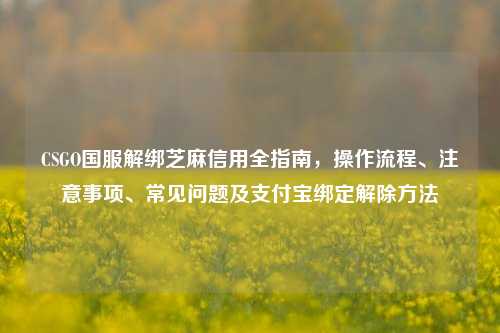 CSGO国服解绑芝麻信用全指南,操作流程、注意事项、常见问题及支付宝绑定解除方法