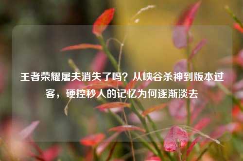 王者荣耀屠夫消失了吗?从峡谷杀神到版本过客,硬控秒人的记忆为何逐渐淡去
