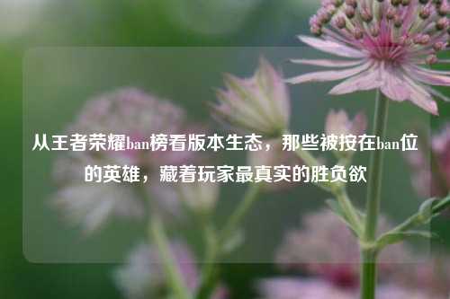 从王者荣耀ban榜看版本生态,那些被按在ban位的英雄,藏着玩家最真实的胜负欲