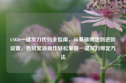 CSGO一键发刀代码全指南，从基础绑定到进阶设置，告别繁琐操作轻松掌握一键发刀绑定方法
