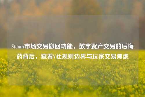 Steam市场交易撤回功能,数字资产交易的后悔药背后,藏着V社规则边界与玩家交易焦虑