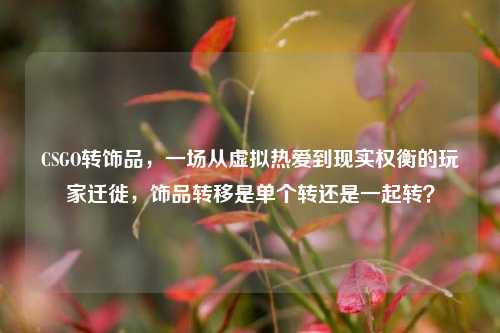 CSGO转饰品,一场从虚拟热爱到现实权衡的玩家迁徙,饰品转移是单个转还是一起转?