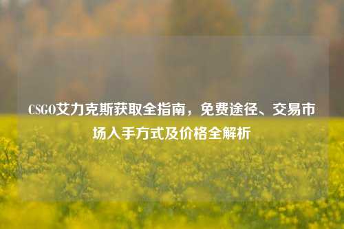 CSGO艾力克斯获取全指南,免费途径、交易市场入手方式及价格全解析