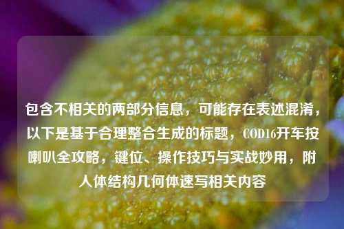 包含不相关的两部分信息,可能存在表述混淆,以下是基于合理整合生成的标题,COD16开车按喇叭全攻略,键位、操作技巧与实战妙用,附人体结构几何体速写相关内容