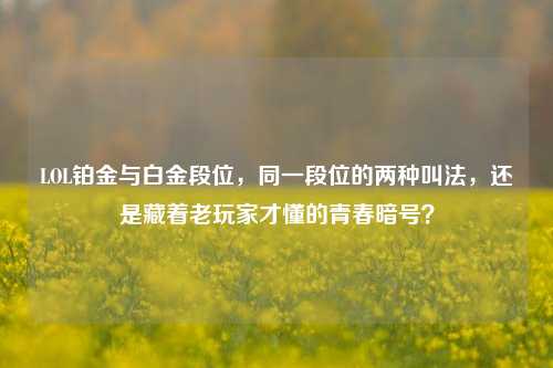 LOL铂金与白金段位,同一段位的两种叫法,还是藏着老玩家才懂的青春暗号?