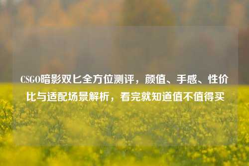 CSGO暗影双匕全方位测评，颜值、手感、性价比与适配场景解析，看完就知道值不值得买