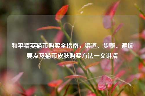 和平精英猫币购买全指南，渠道、步骤、避坑要点及猫币皮肤购买方法一文讲清