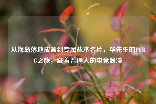 从海岛落地成盒到专属战术名片,毕先生的PUBG之旅,藏着普通人的电竞浪漫