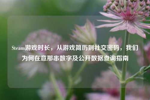 Steam游戏时长,从游戏简历到社交密码,我们为何在意那串数字及公开数据查询指南