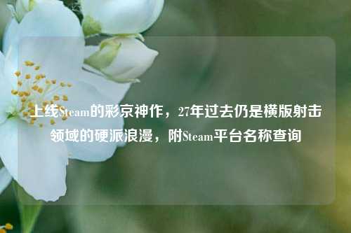 上线Steam的彩京神作，27年过去仍是横版射击领域的硬派浪漫，附Steam平台名称查询