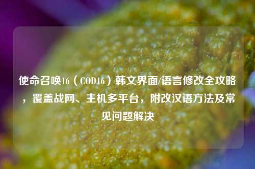 使命召唤16(COD16)韩文界面/语言修改全攻略,覆盖战网、主机多平台,附改汉语方法及常见问题解决