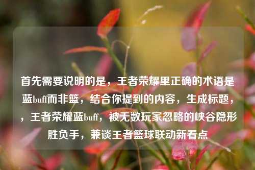 首先需要说明的是,王者荣耀里正确的术语是蓝buff而非篮,结合你提到的内容,生成标题,,王者荣耀蓝buff,被无数玩家忽略的峡谷隐形胜负手,兼谈王者篮球联动新看点