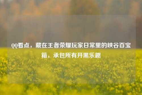 QQ看点,藏在王者荣耀玩家日常里的峡谷百宝箱,承包所有开黑乐趣