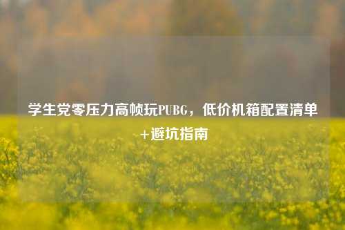 学生党零压力高帧玩PUBG,低价机箱配置清单+避坑指南
