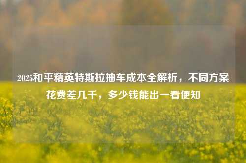 2025和平精英特斯拉抽车成本全解析,不同方案花费差几千,多少钱能出一看便知