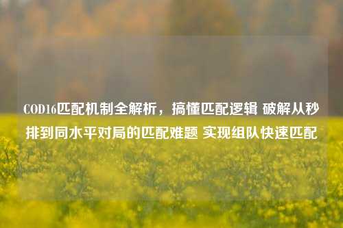 COD16匹配机制全解析,搞懂匹配逻辑 破解从秒排到同水平对局的匹配难题 实现组队快速匹配