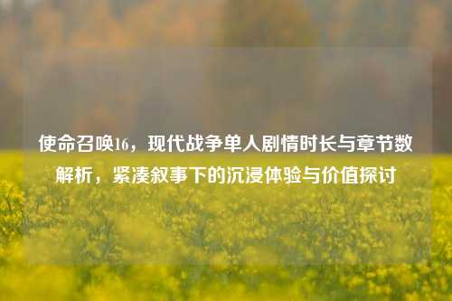 使命召唤16,现代战争单人剧情时长与章节数解析,紧凑叙事下的沉浸体验与价值探讨