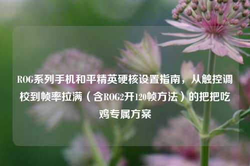 ROG系列手机和平精英硬核设置指南，从触控调校到帧率拉满（含ROG2开120帧方法）的把把吃鸡专属方案