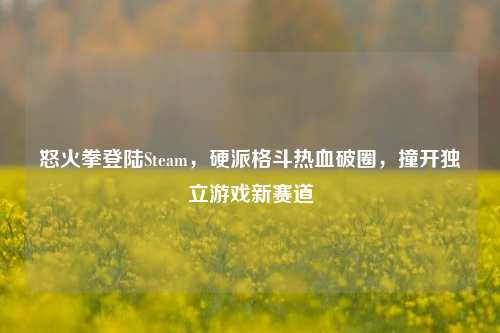 怒火拳登陆Steam,硬派格斗热血破圈,撞开独立游戏新赛道