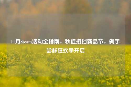 11月Steam活动全指南,秋促接档新品节,剁手尝鲜狂欢季开启