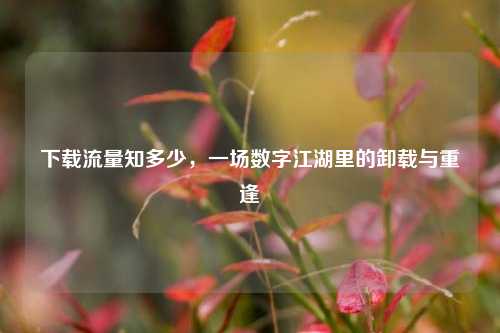 下载流量知多少,一场数字江湖里的卸载与重逢