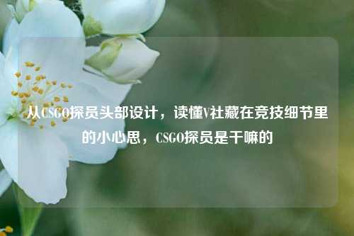 从CSGO探员头部设计，读懂V社藏在竞技细节里的小心思，CSGO探员是干嘛的