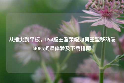 从指尖到平板,iPad版王者荣耀如何重塑移动端MOBA沉浸体验及下载指南