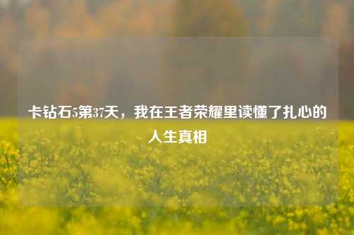 卡钻石5第37天,我在王者荣耀里读懂了扎心的人生真相