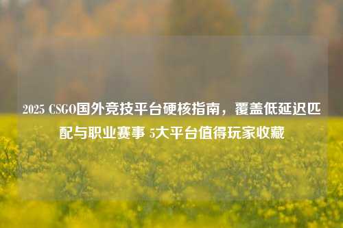 2025 CSGO国外竞技平台硬核指南,覆盖低延迟匹配与职业赛事 5大平台值得玩家收藏