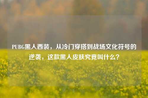 PUBG黑人西装,从冷门穿搭到战场文化符号的逆袭,这款黑人皮肤究竟叫什么?