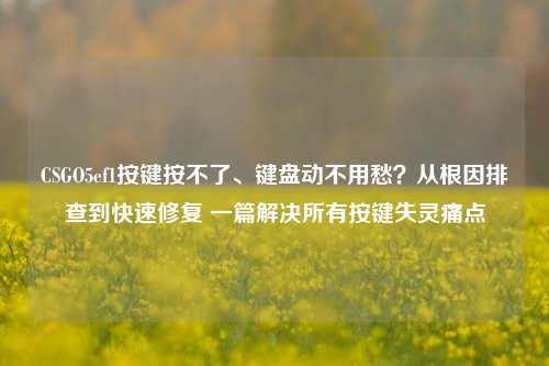 CSGO5ef1按键按不了、键盘动不用愁？从根因排查到快速修复 一篇解决所有按键失灵痛点