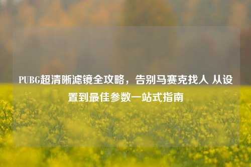 PUBG超清晰滤镜全攻略,告别马赛克找人 从设置到最佳参数一站式指南