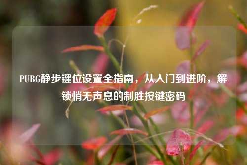 PUBG静步键位设置全指南,从入门到进阶,解锁悄无声息的制胜按键密码