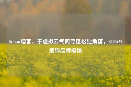 Steam烟客,于虚拟云气间寻觅松弛角落,STEAM烟弹品牌揭秘