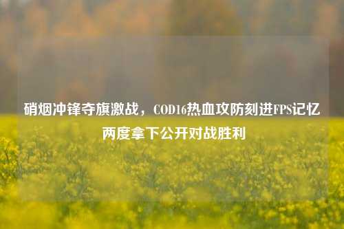 硝烟冲锋夺旗激战,COD16热血攻防刻进FPS记忆 两度拿下公开对战胜利