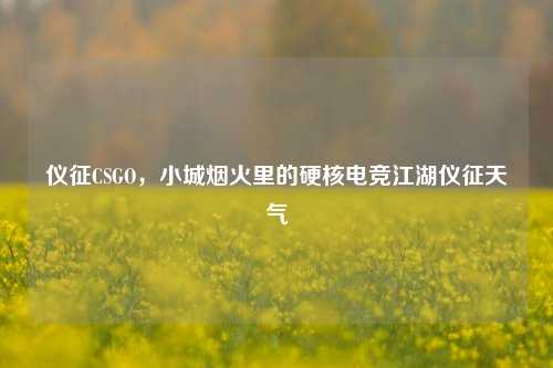 仪征CSGO，小城烟火里的硬核电竞江湖仪征天气