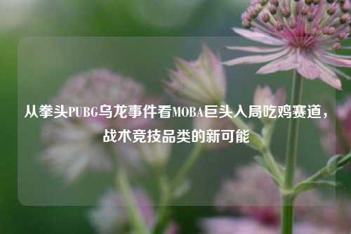 从拳头PUBG乌龙事件看MOBA巨头入局吃鸡赛道，战术竞技品类的新可能