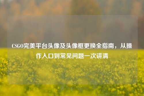 CSGO完美平台头像及头像框更换全指南,从操作入口到常见问题一次讲清