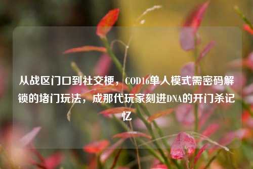 从战区门口到社交梗,COD16单人模式需密码解锁的堵门玩法,成那代玩家刻进DNA的开门杀记忆